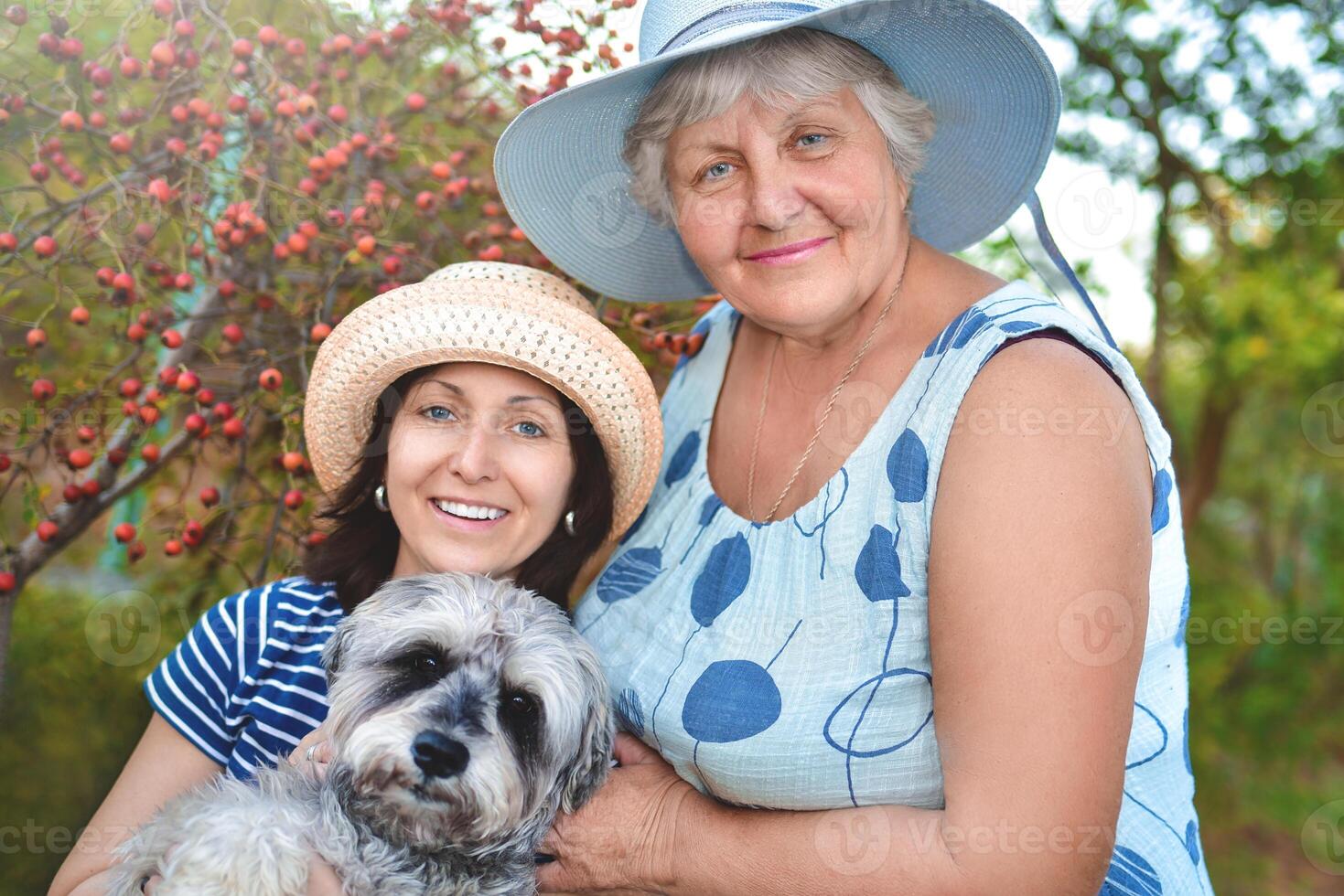 Family portrait of a happy elderly woman hugging her daughter and their dog. photo