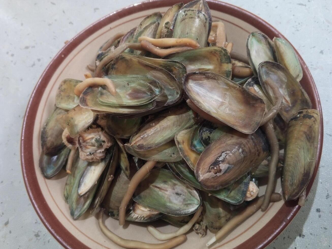 Authentic Indonesian cuisine in the form of thick shells. beautiful, fresh, thick shells in piles. thick-tailed clam photo