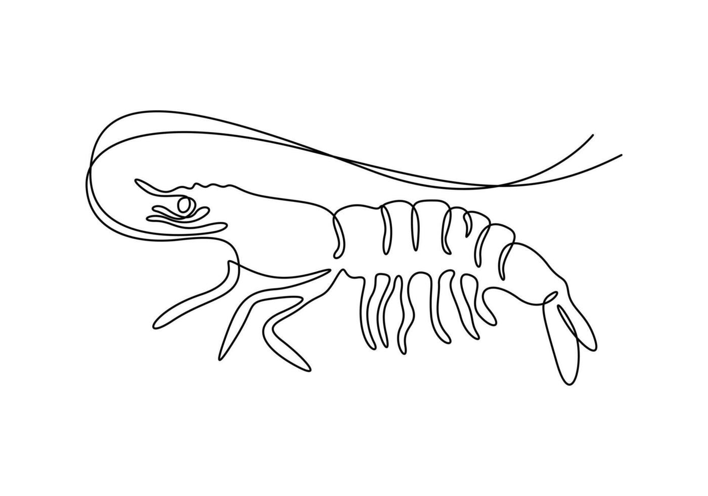 Shrimp in one continuous line drawing of premium illustration vector