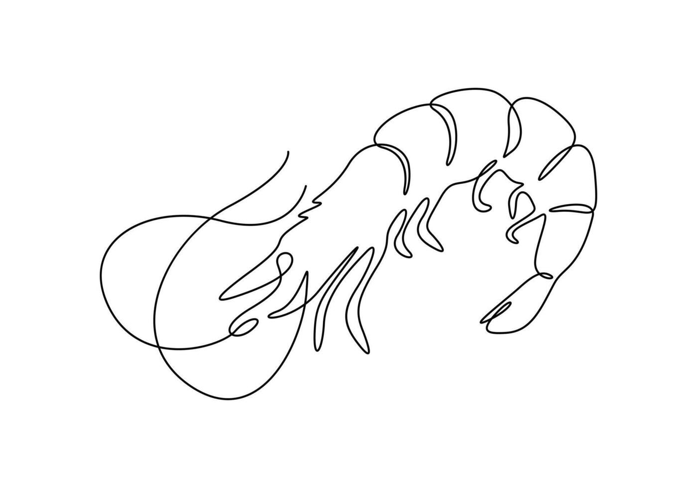 Shrimp in one continuous line drawing of premium illustration vector