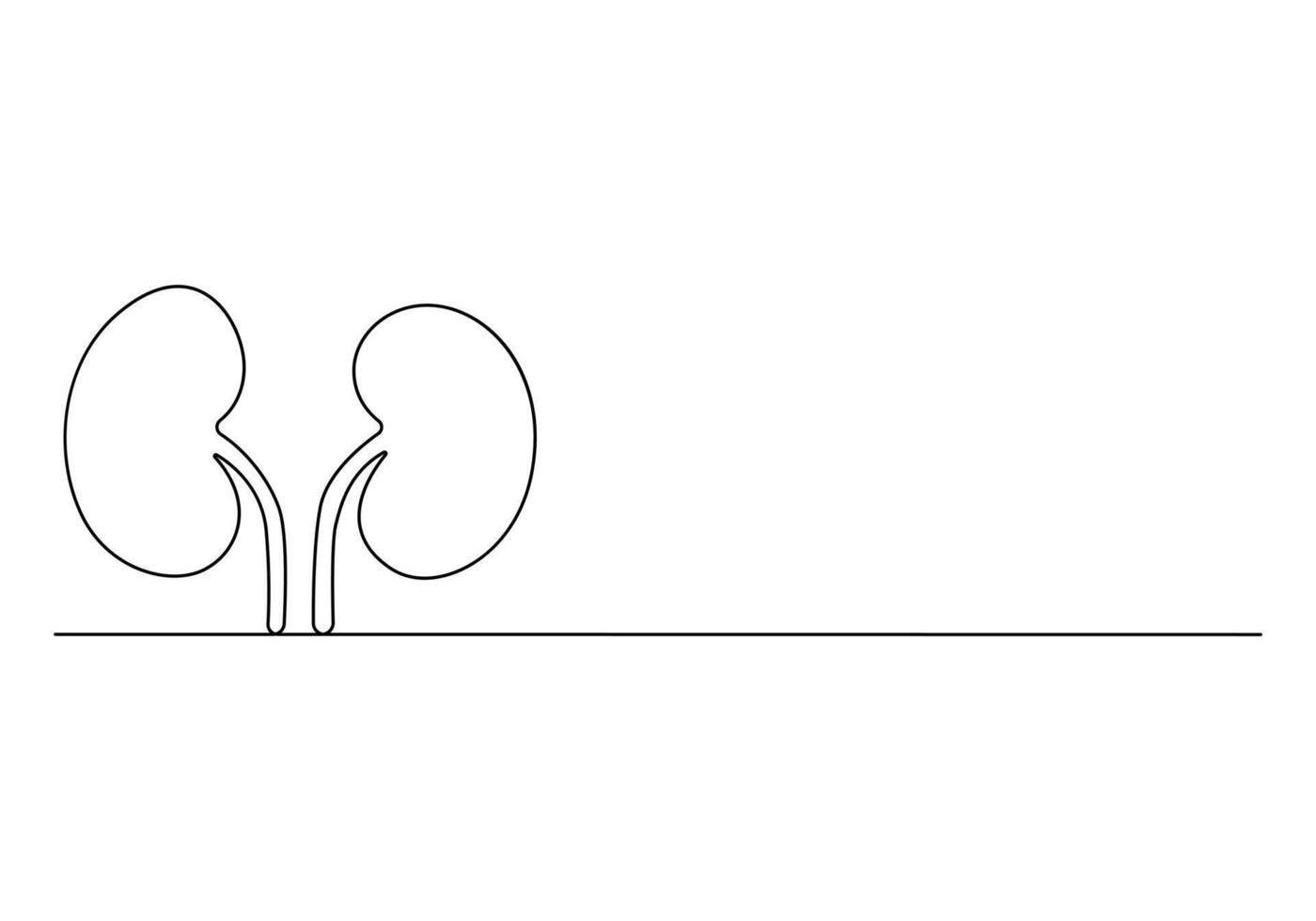 Human kidney continuous one line drawing digital illustration vector