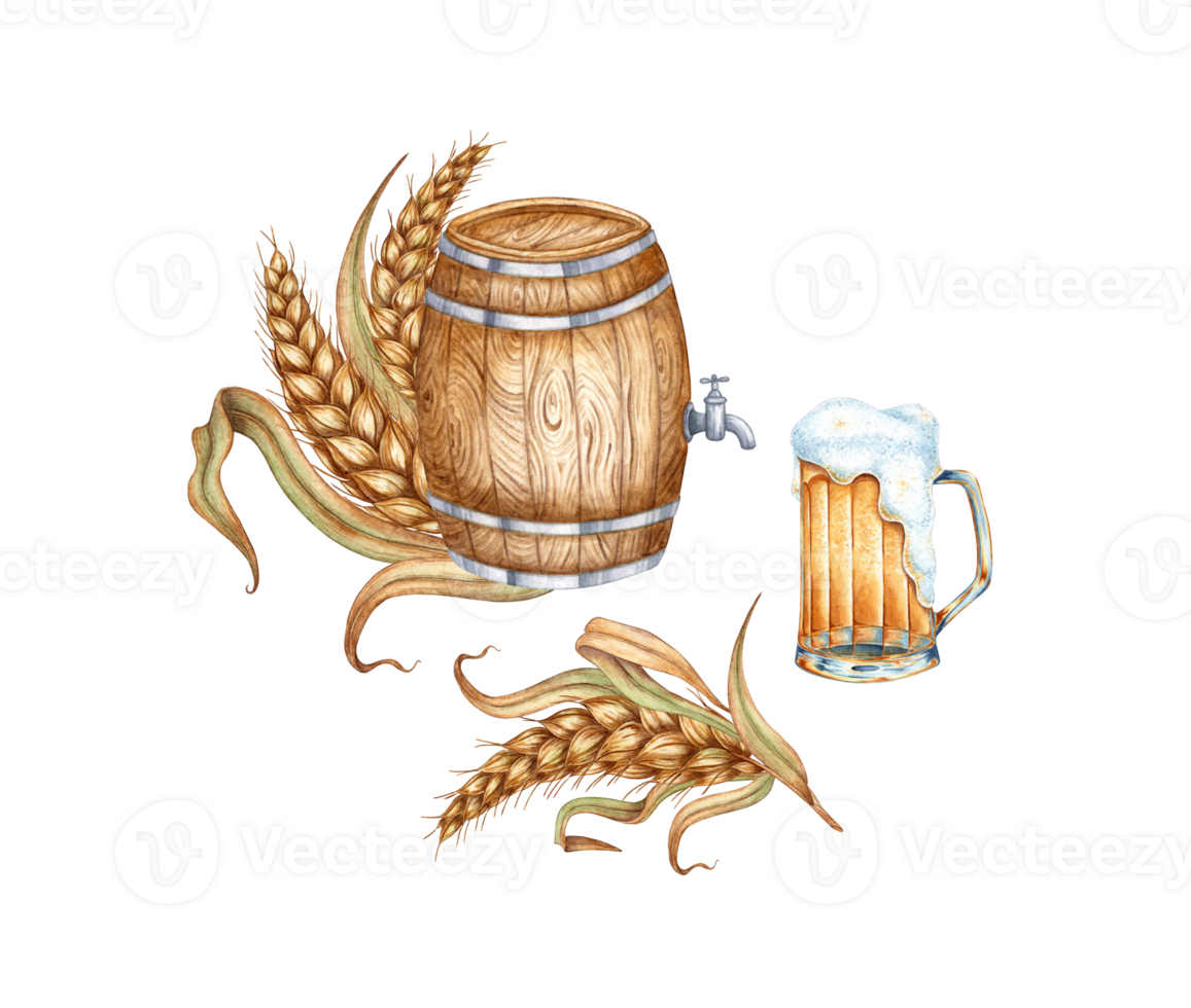 Wooden barrel with ripe ears of wheat for beer and other alcoholic drinks, watercolor illustration. Isolated from the background. Ideal for menus and celebrations such as Harvest Festival Oktoberfest. png