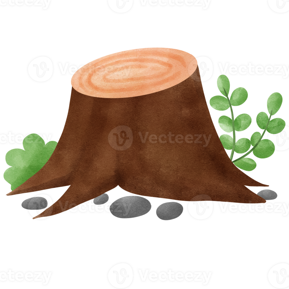 tree with a branch of a tree png