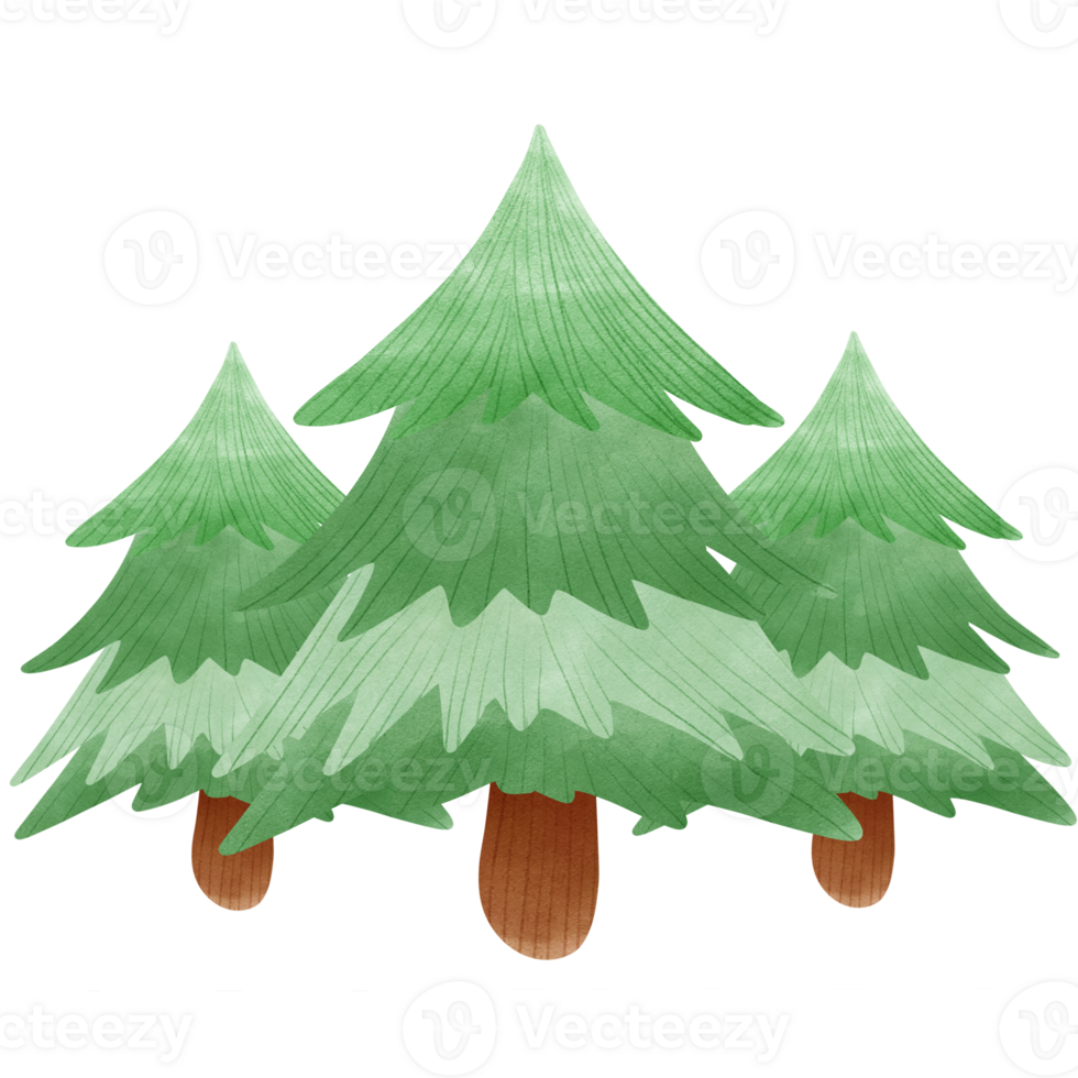 Green trees in forest png