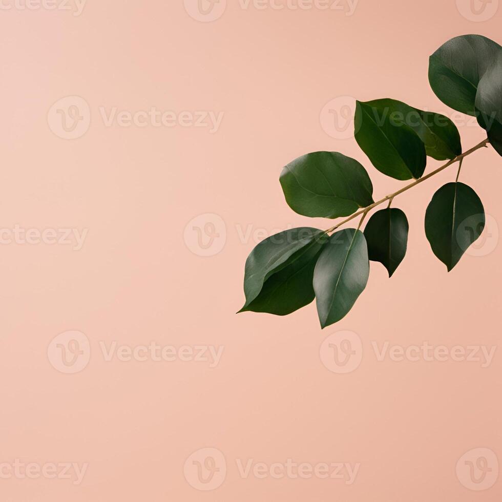 Soft Gradient background. Vibrant Gradient Background. Blurred Color Wave. Blue, pink gradient background. summer and spring concept. Pastel gradient background. Abstract blurred wallpaper texture. photo