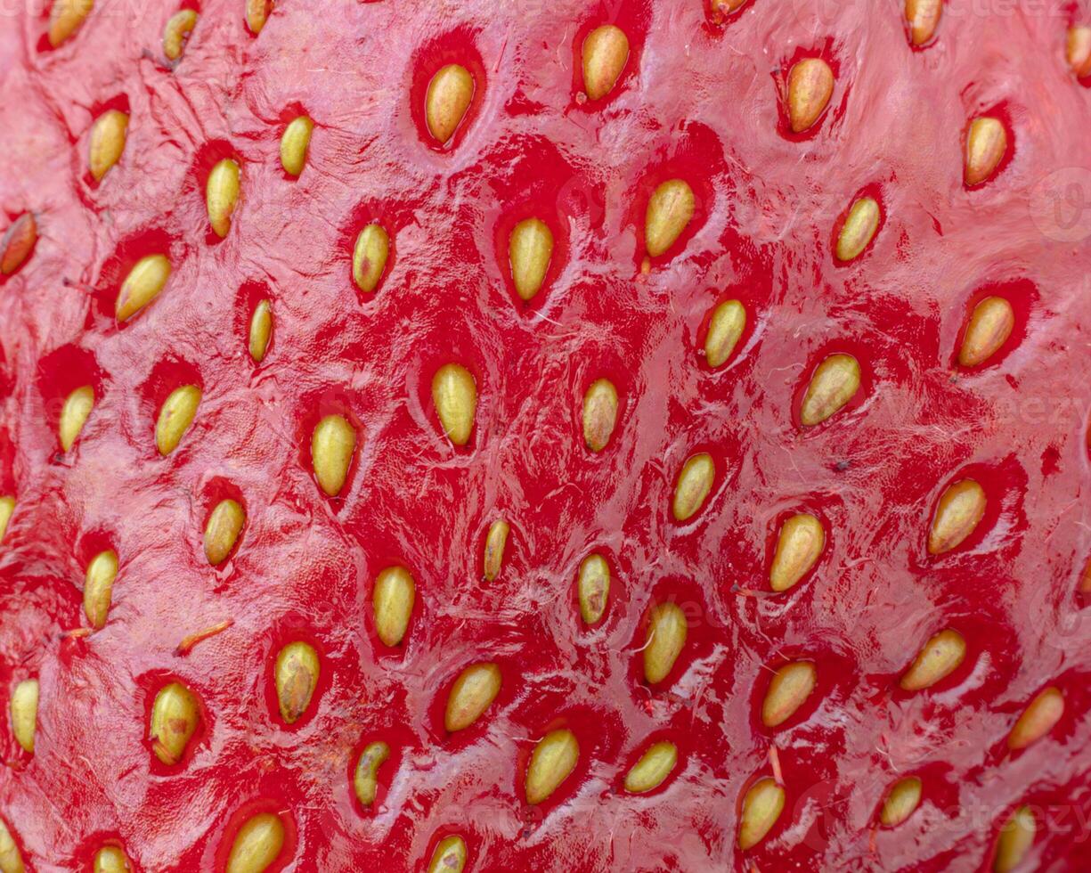 Ripe red delicious strawberries macro shooting several pieces and single photo