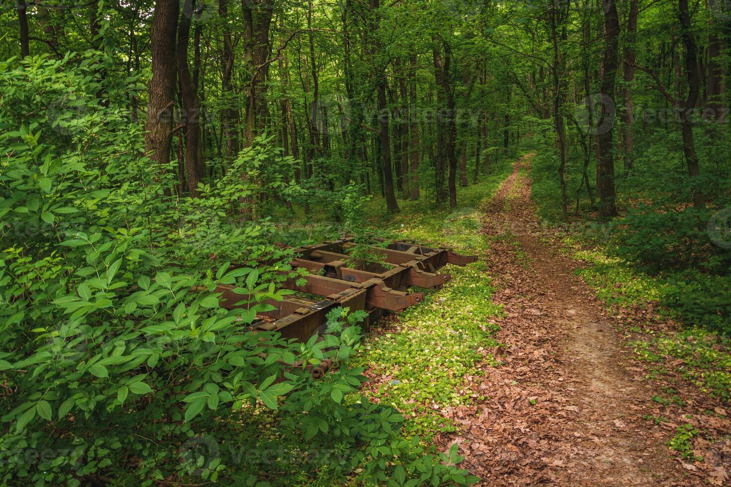 Pollution concept. Rusty car frame thrown into the forest photo