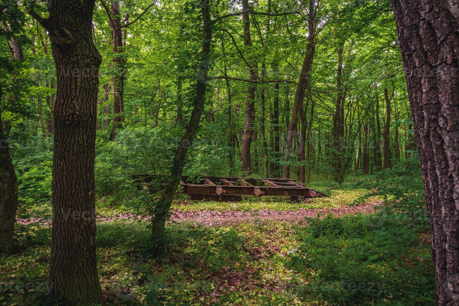 Pollution concept. Rusty car frame thrown into the forest photo