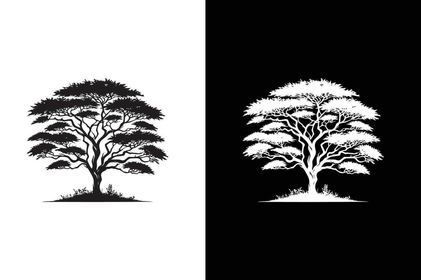 Flat Acacia Tree icon illustration. Tree branch. vector