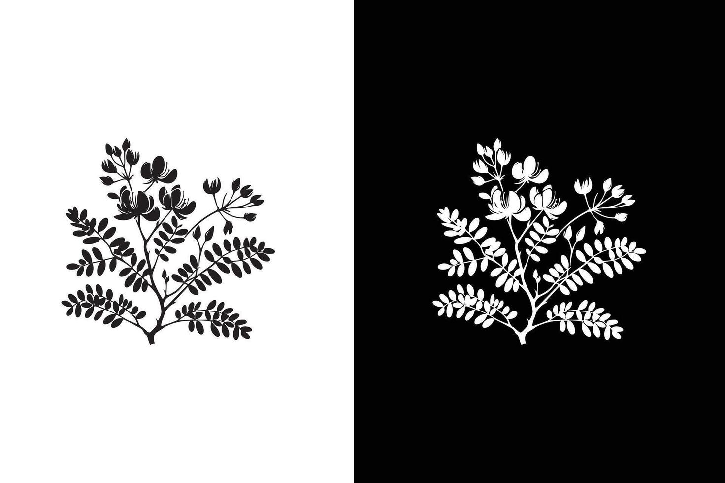 Flat Acacia flower icon illustration. Tree branch collection, floral isolated black and white vector