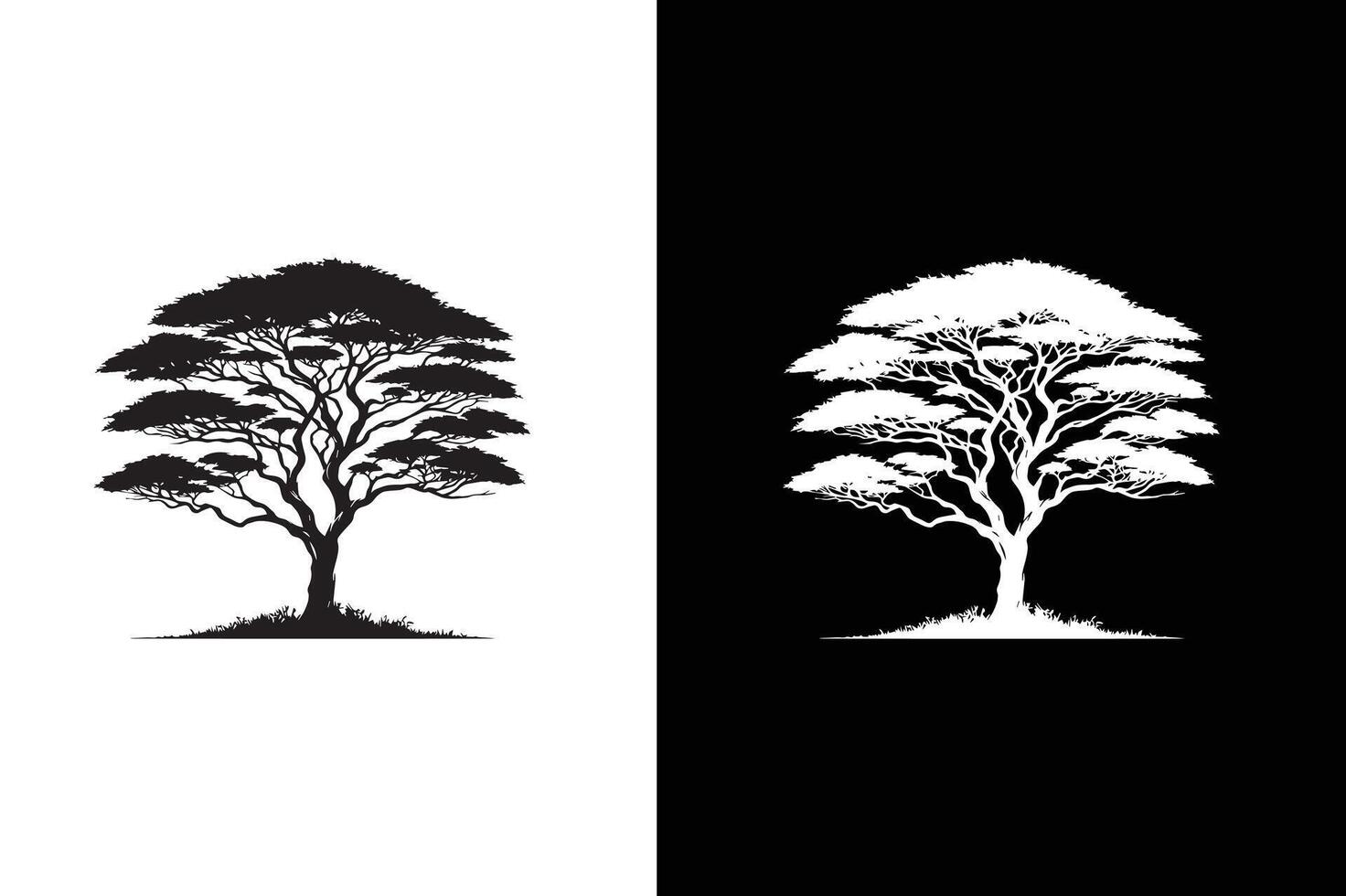Flat Acacia Tree icon illustration. vector