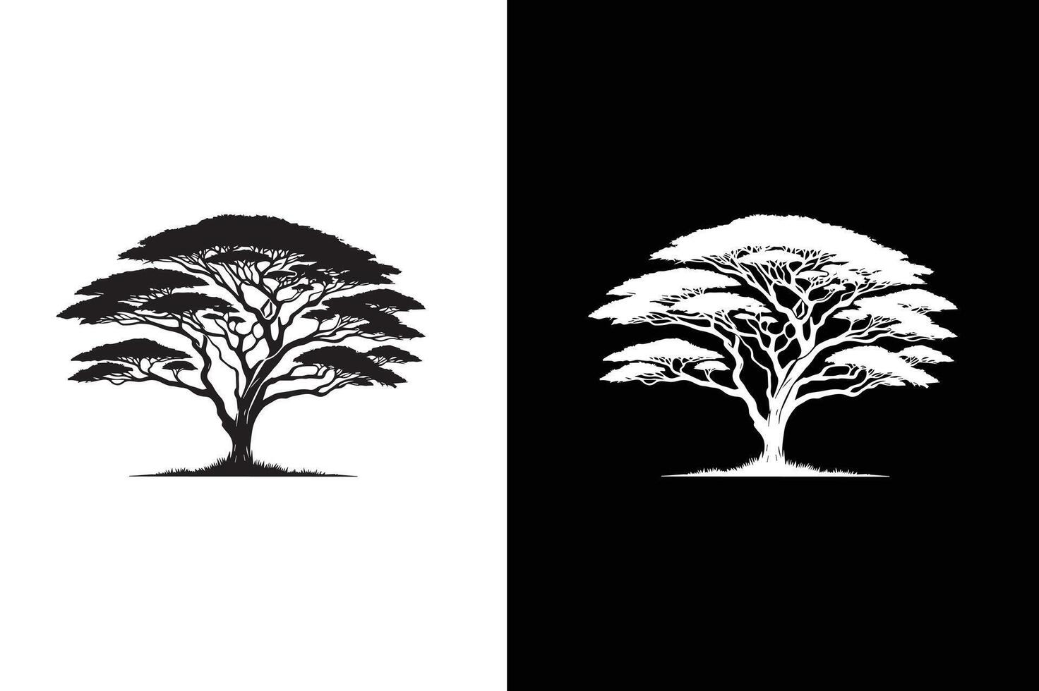 Flat Acacia Tree icon illustration. Tree branch vector