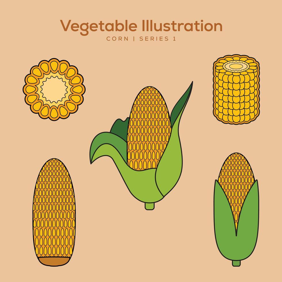 Vegetable Illustration Set for Logo and Healthy Symbol Collection Flat Design - Editable EPS Label Illustration vector