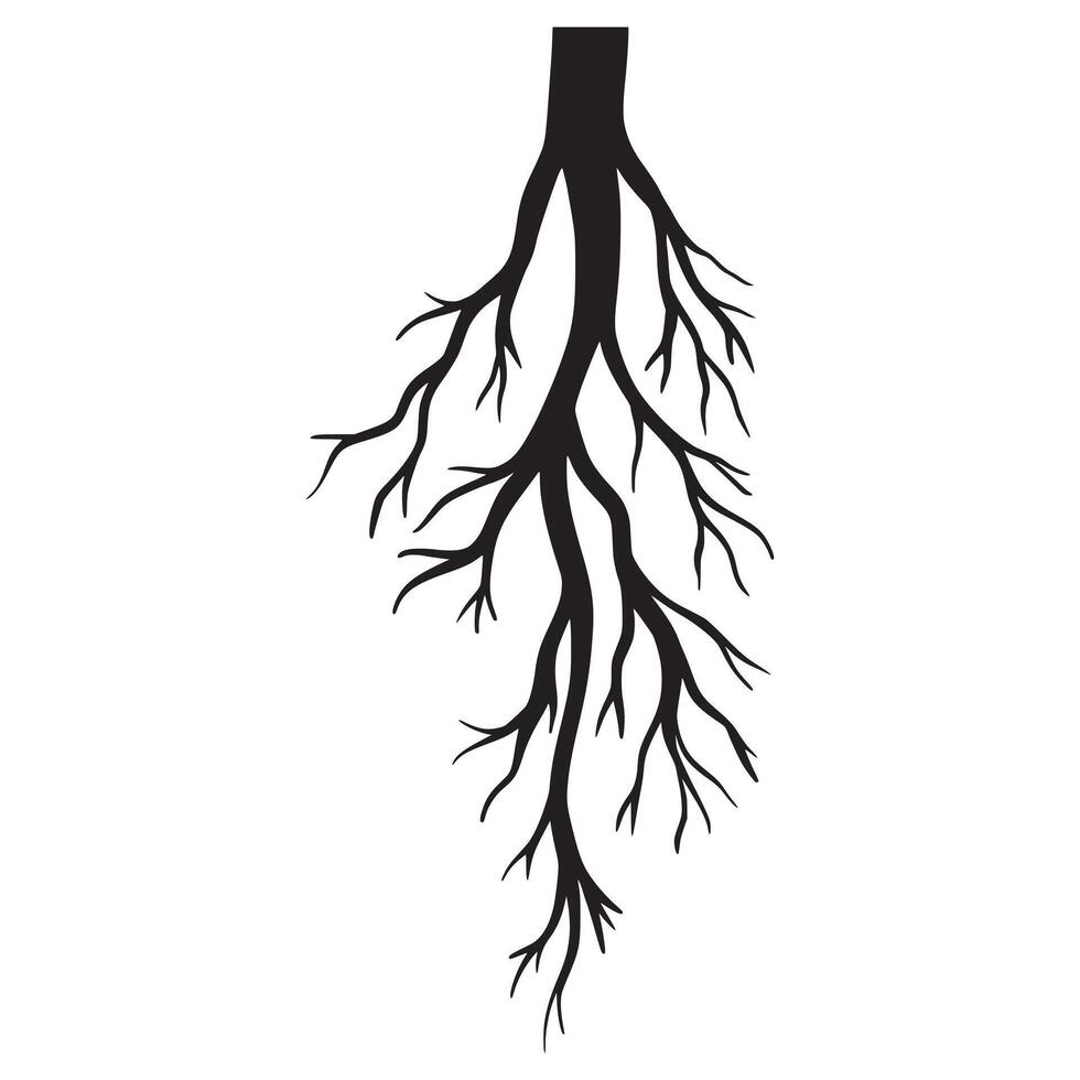 Doodle sketch style of tree root illustration for concept design. vector