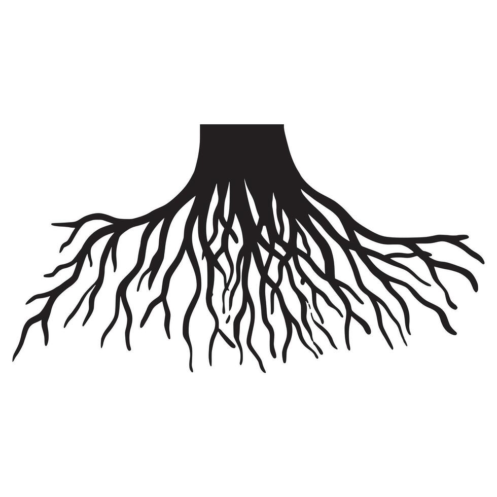 Doodle sketch style of tree root illustration for concept design. vector