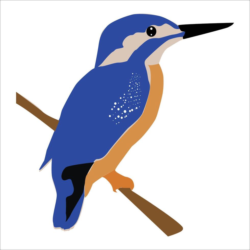 Kingfisher silhouette art illustration vector