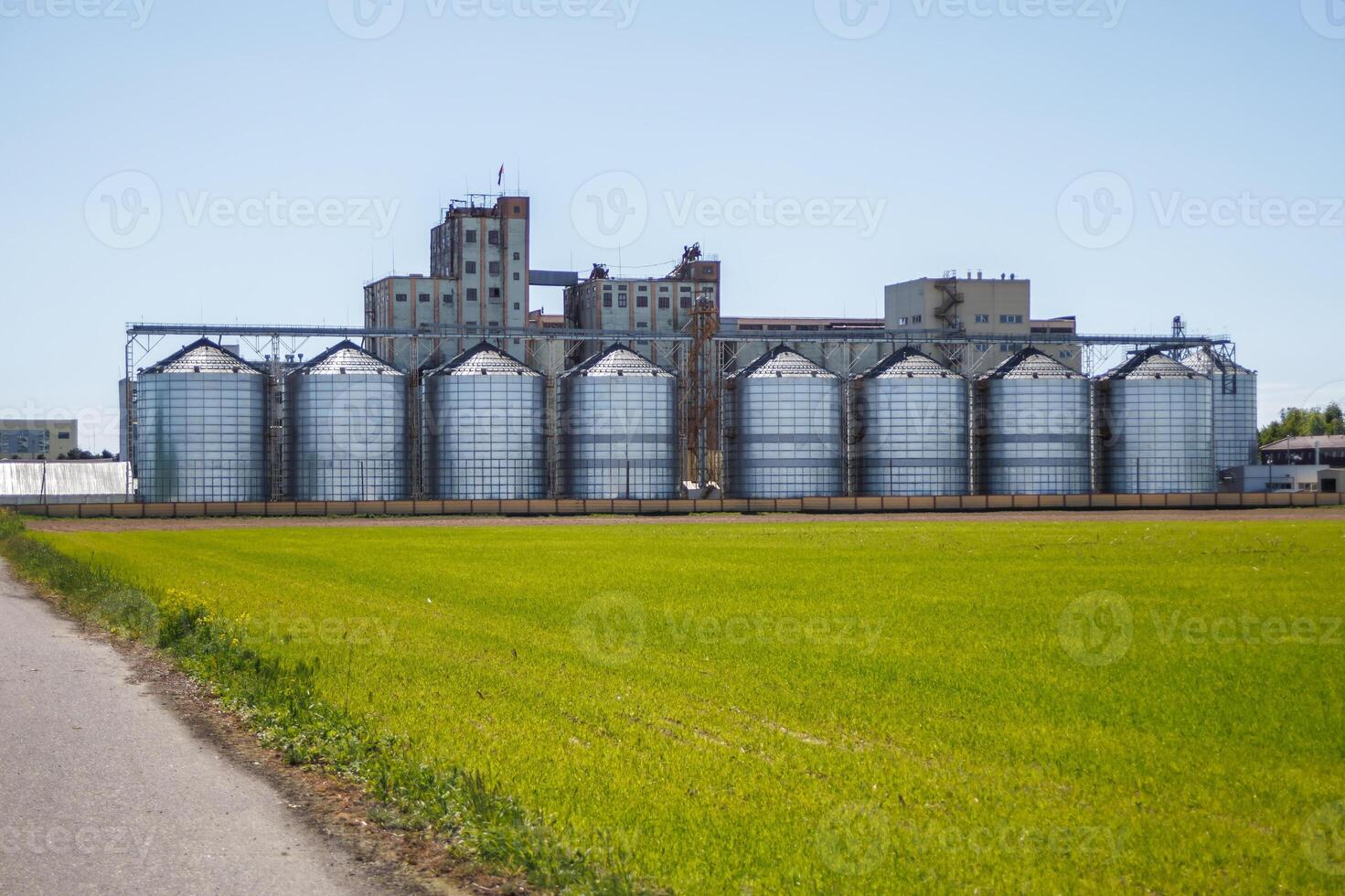 silos granary elevator on agro-industrial complex with seed cleaning and drying line for grain storage photo