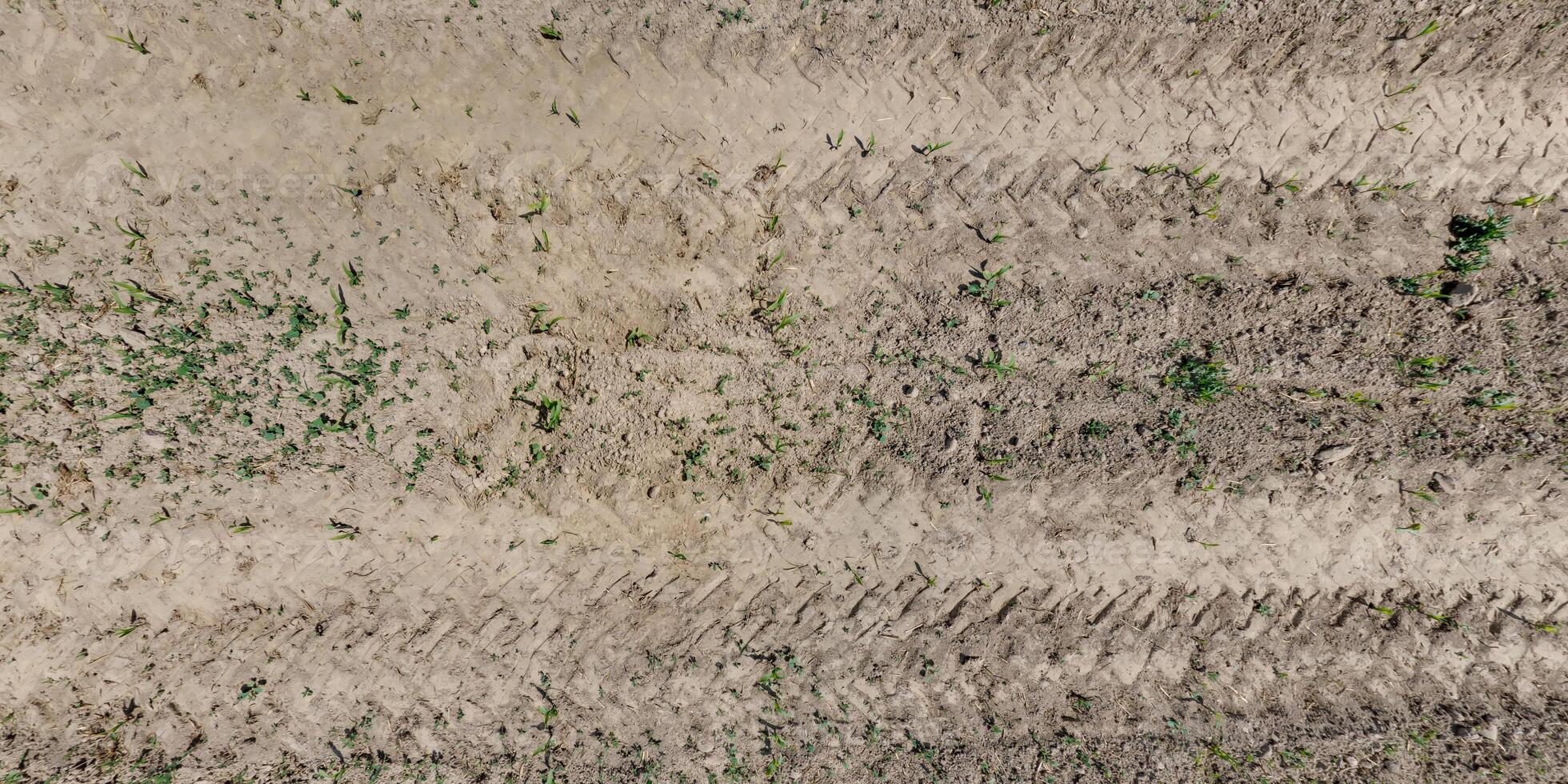view from above on texture of dry muddy road with tractor tire tracks in countryside photo