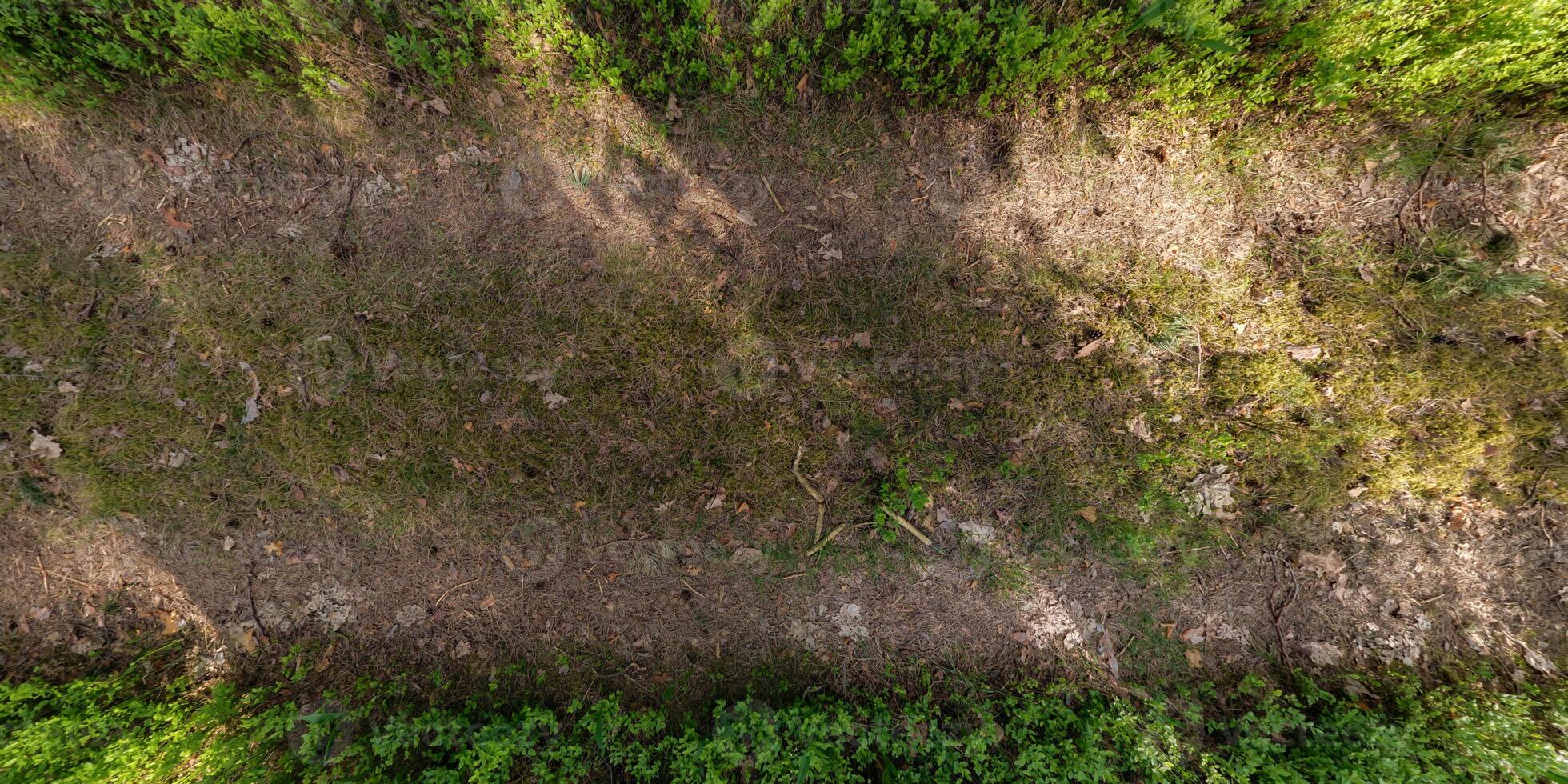 view from above on texture of dry muddy road with tractor tire tracks in forest photo