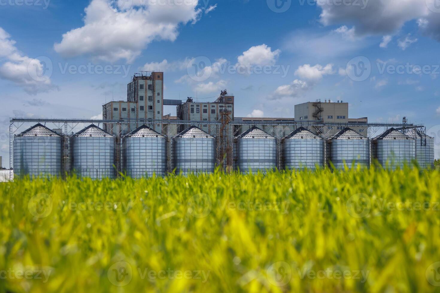 silos granary elevator on agro-industrial complex with seed cleaning and drying line for grain storage photo