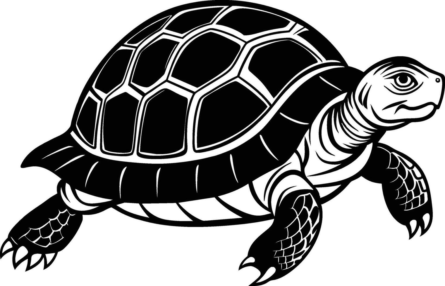 black silhouette of turtle illustration on white background vector