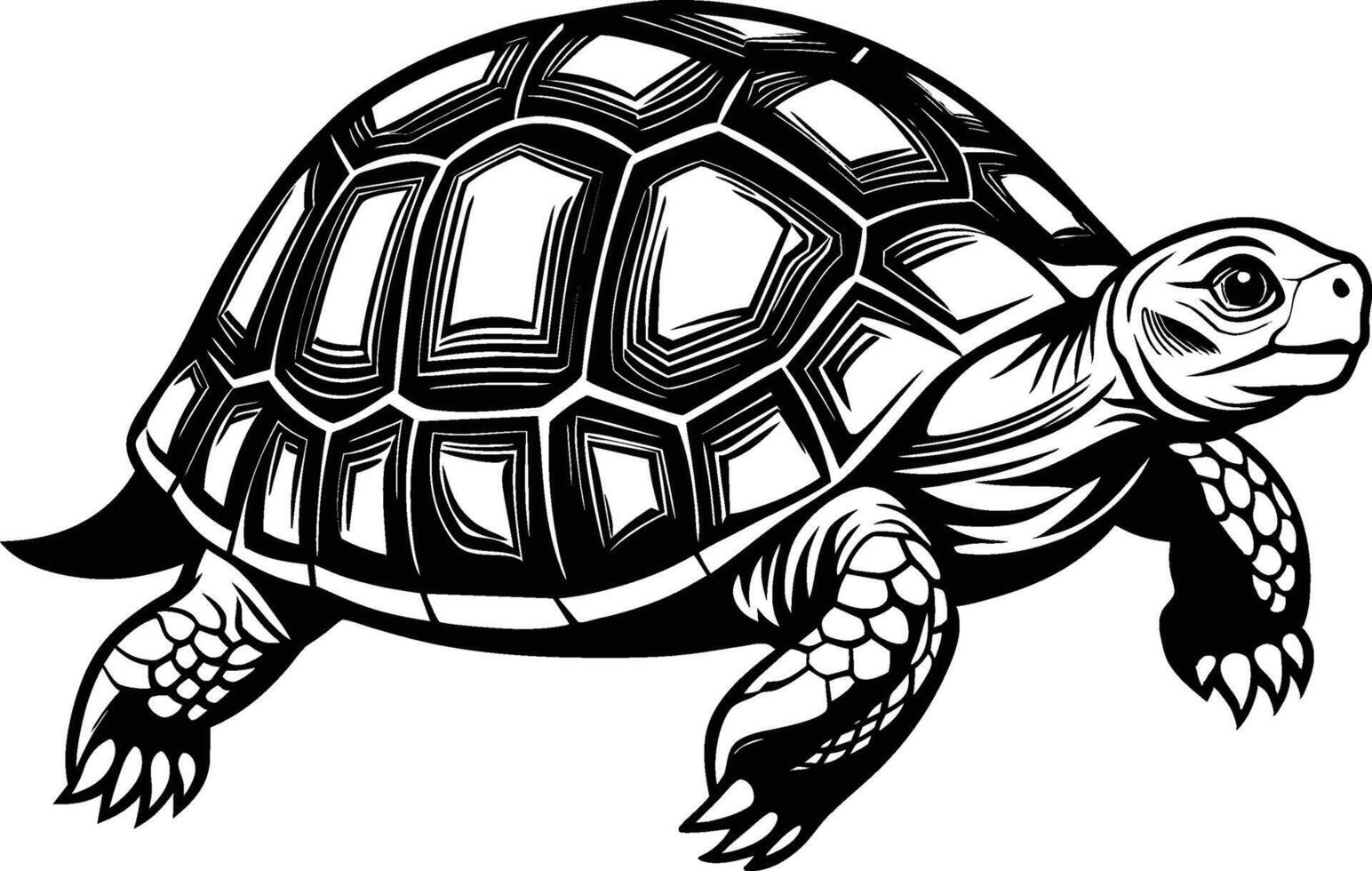 black silhouette of turtle illustration on white background vector