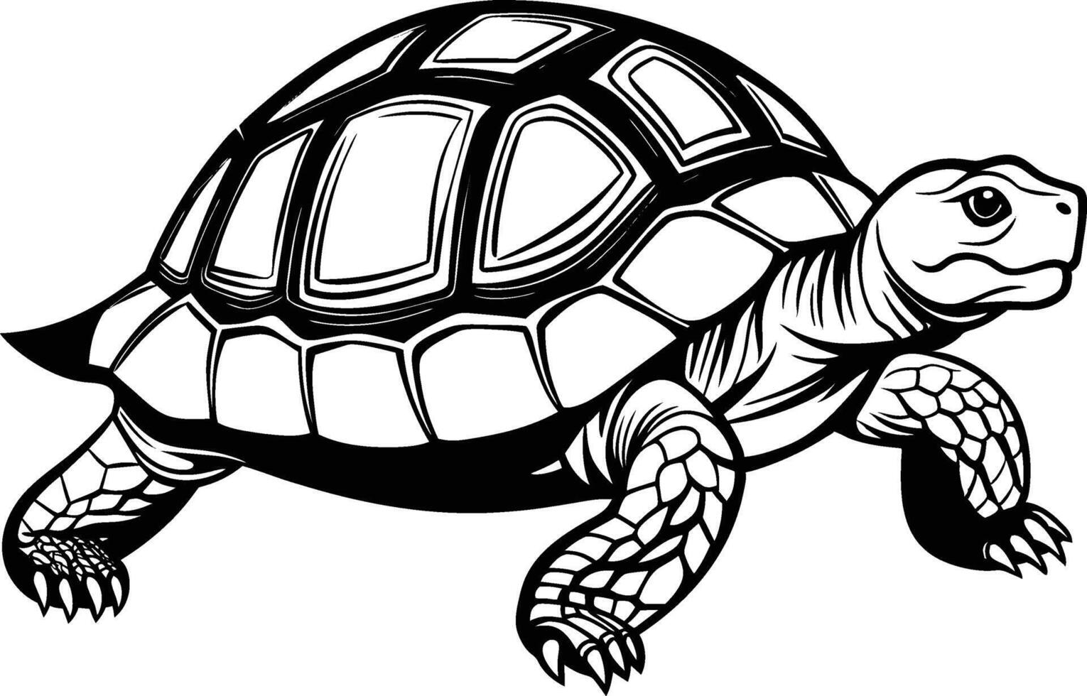 black silhouette of turtle illustration on white background vector