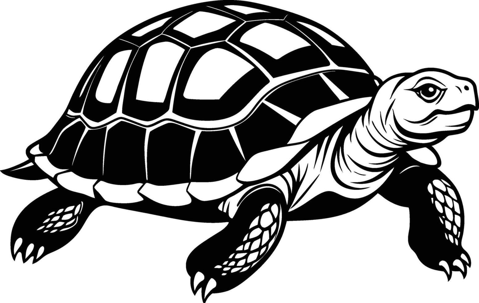 Printblack silhouette of turtle illustration on white background vector
