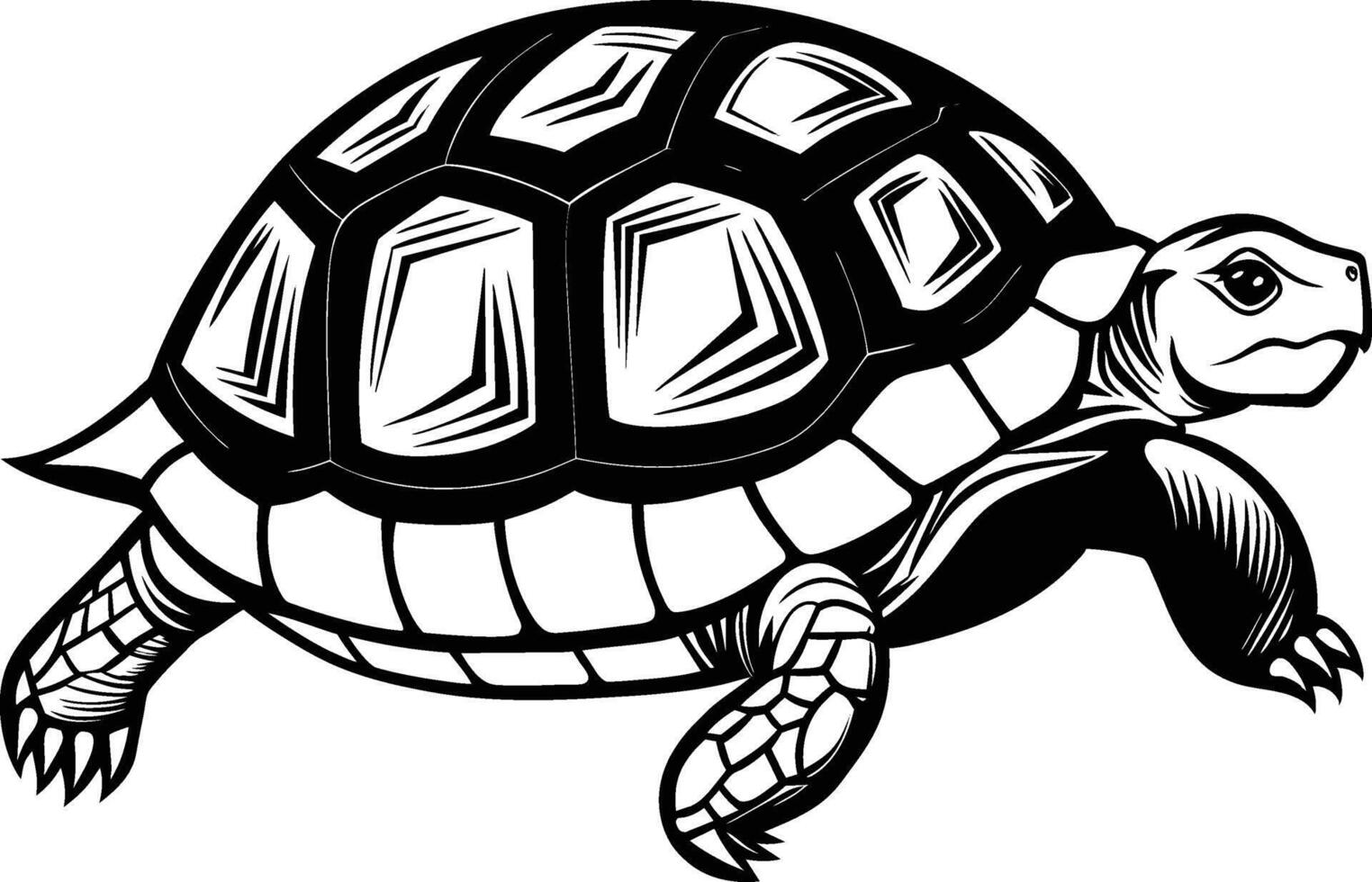 black silhouette of turtle illustration on white background vector