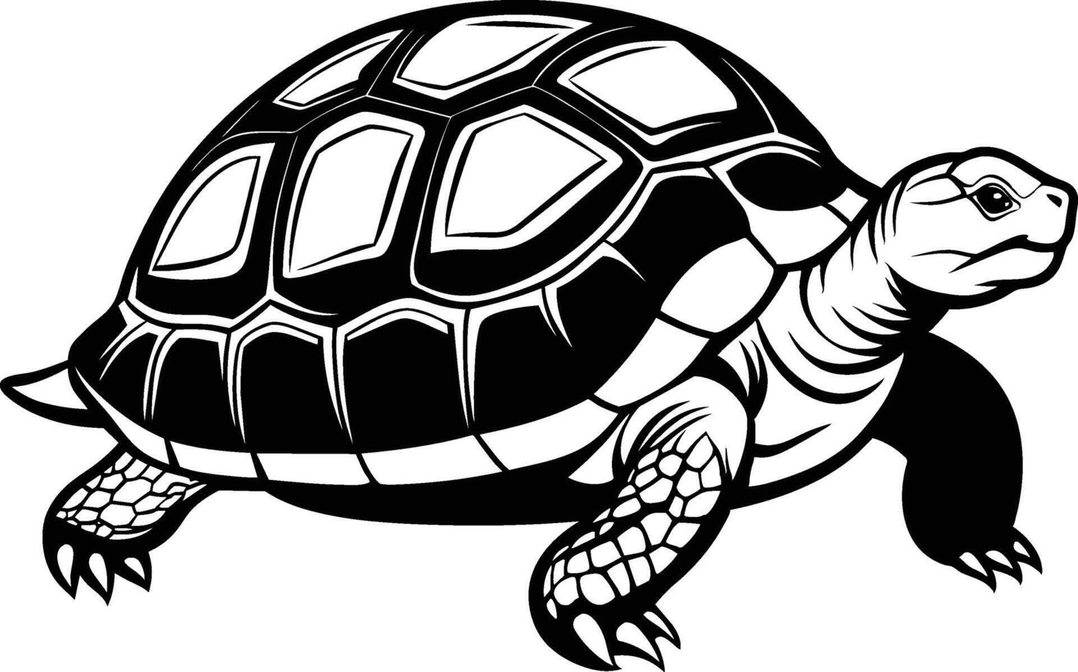 black silhouette of turtle illustration on white background vector