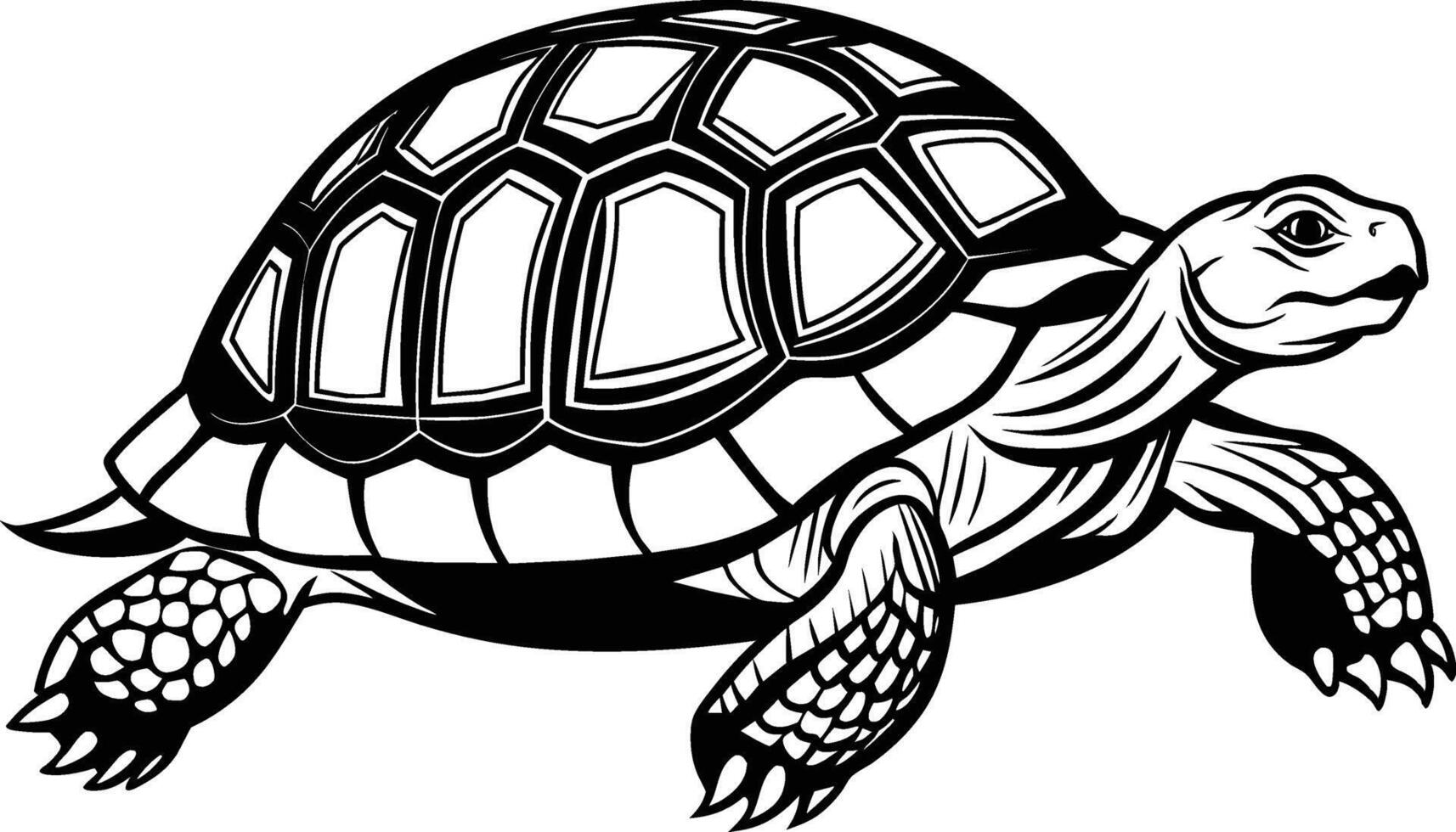 black silhouette of turtle illustration on white background vector