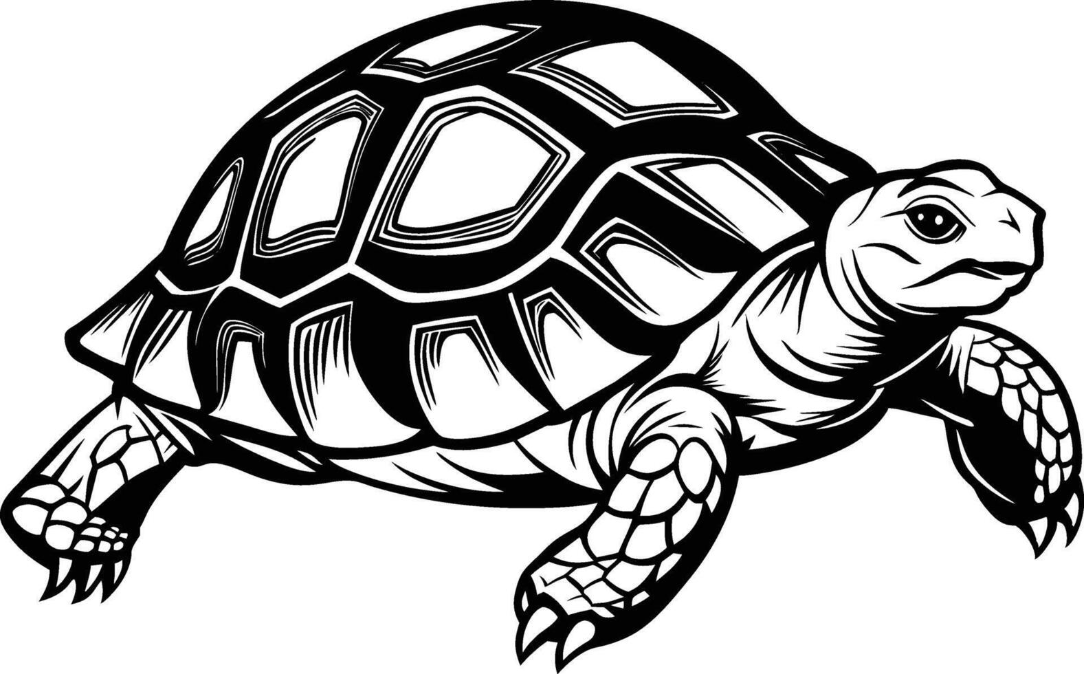 black silhouette of turtle illustration on white background vector