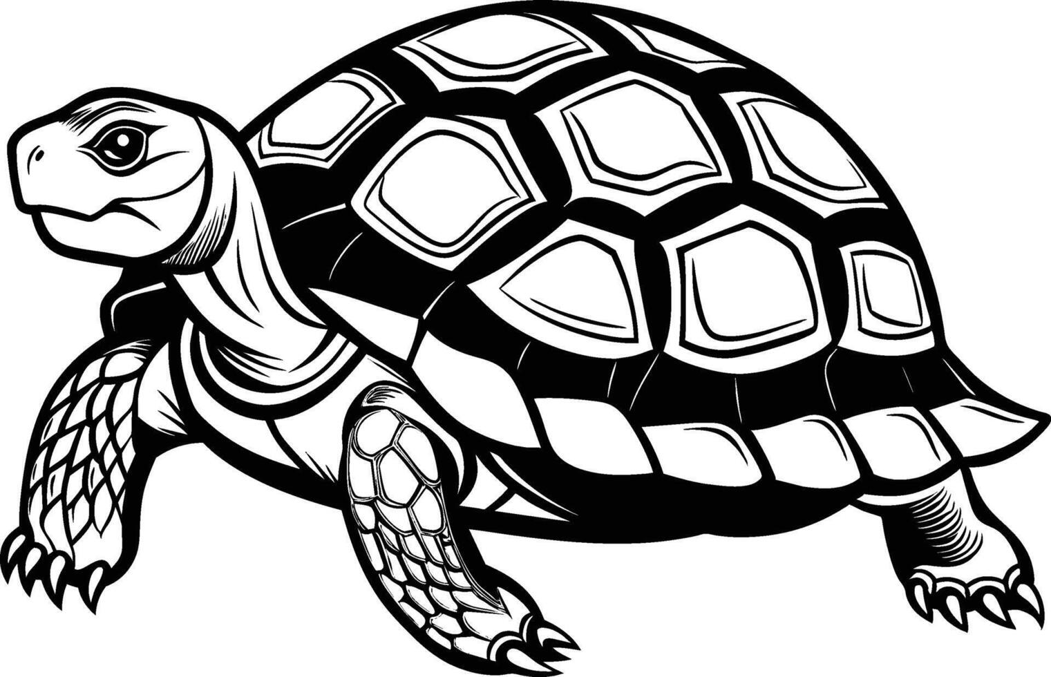 black silhouette of turtle illustration on white background vector