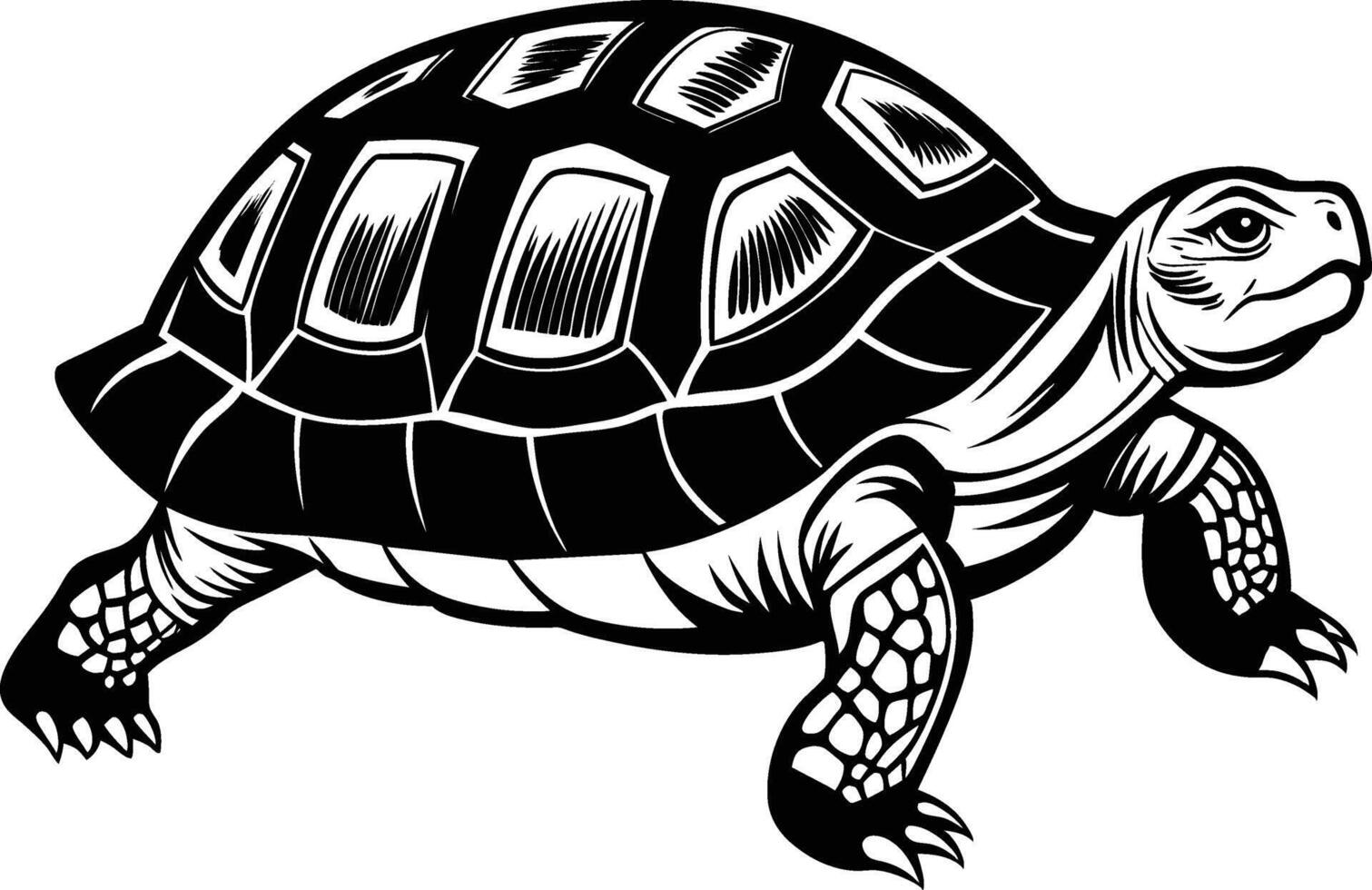 black silhouette of turtle illustration on white background vector