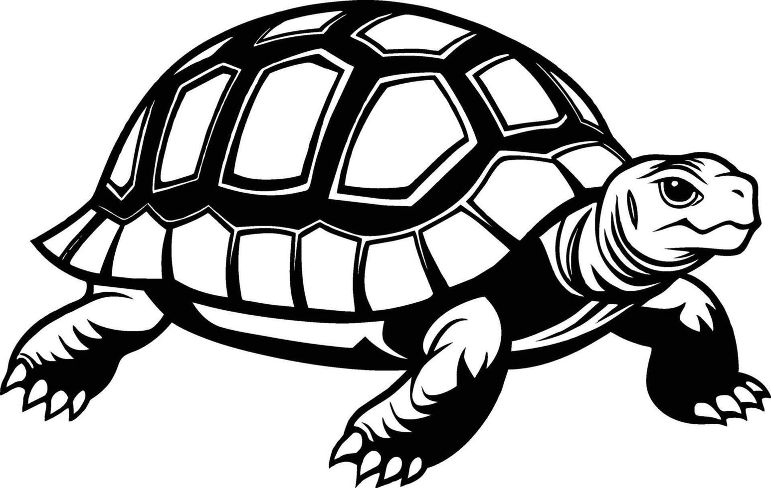 black silhouette of turtle illustration on white background vector