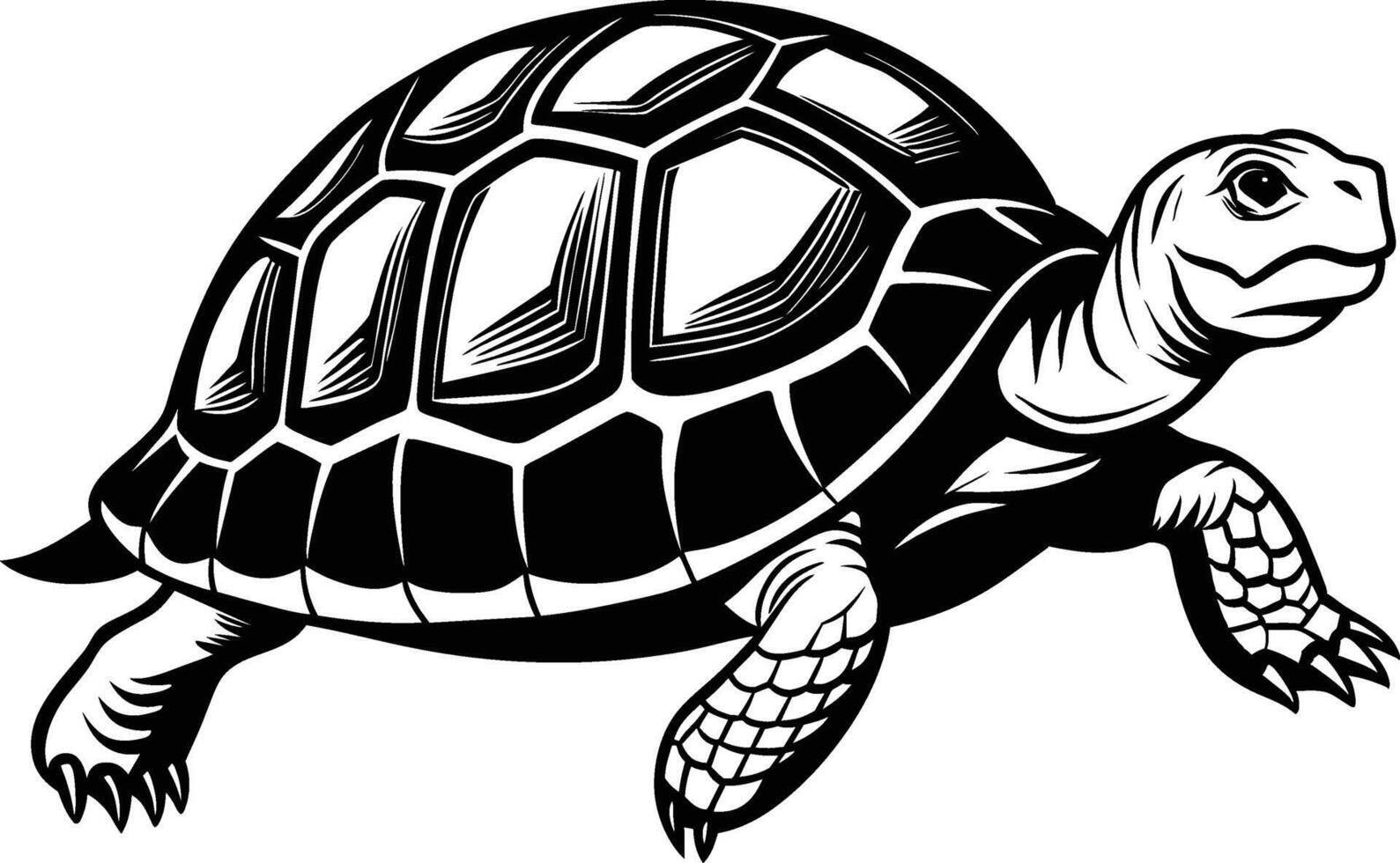 black silhouette of turtle illustration on white background vector