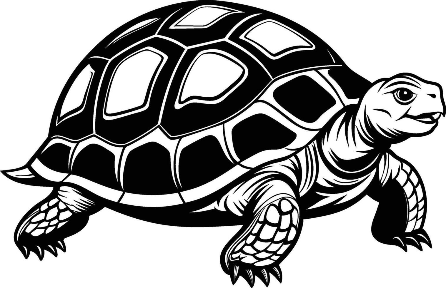 black silhouette of turtle illustration on white background vector