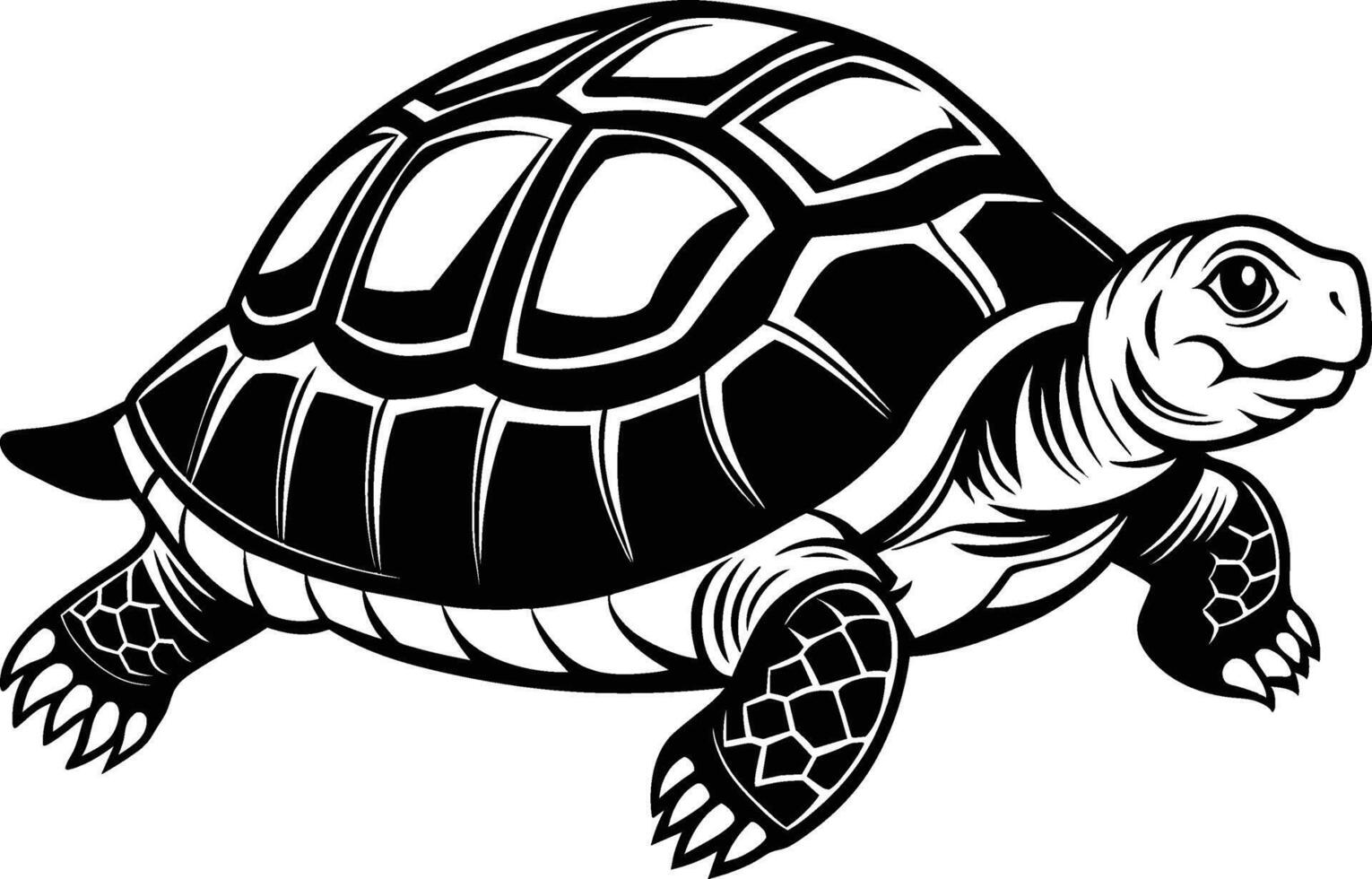 black silhouette of turtle illustration on white background vector