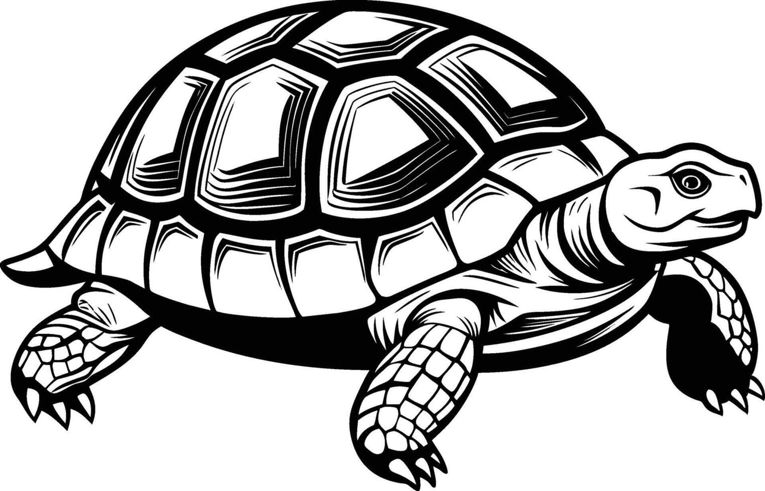 black silhouette of turtle illustration on white background vector