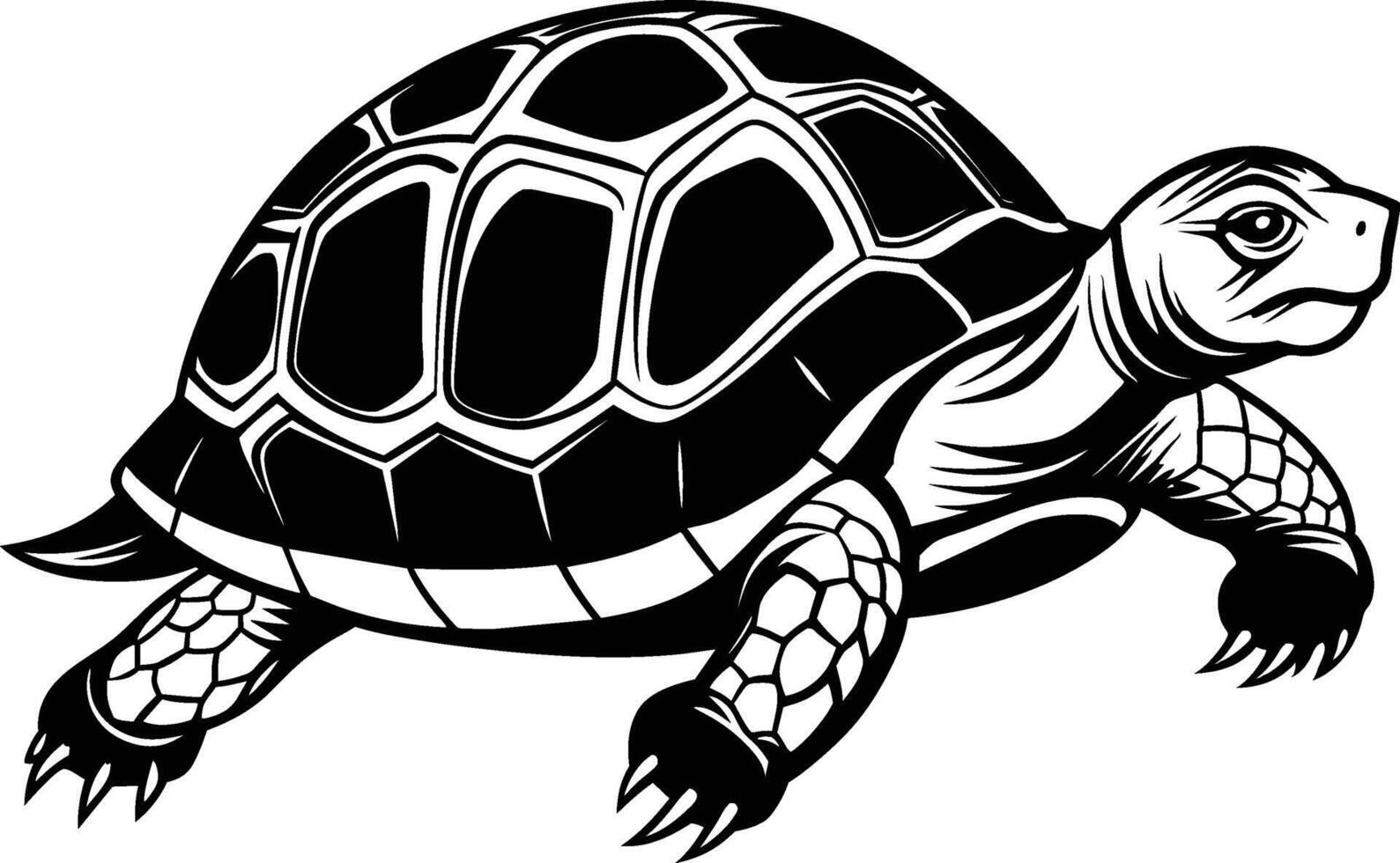 black silhouette of turtle illustration on white background vector