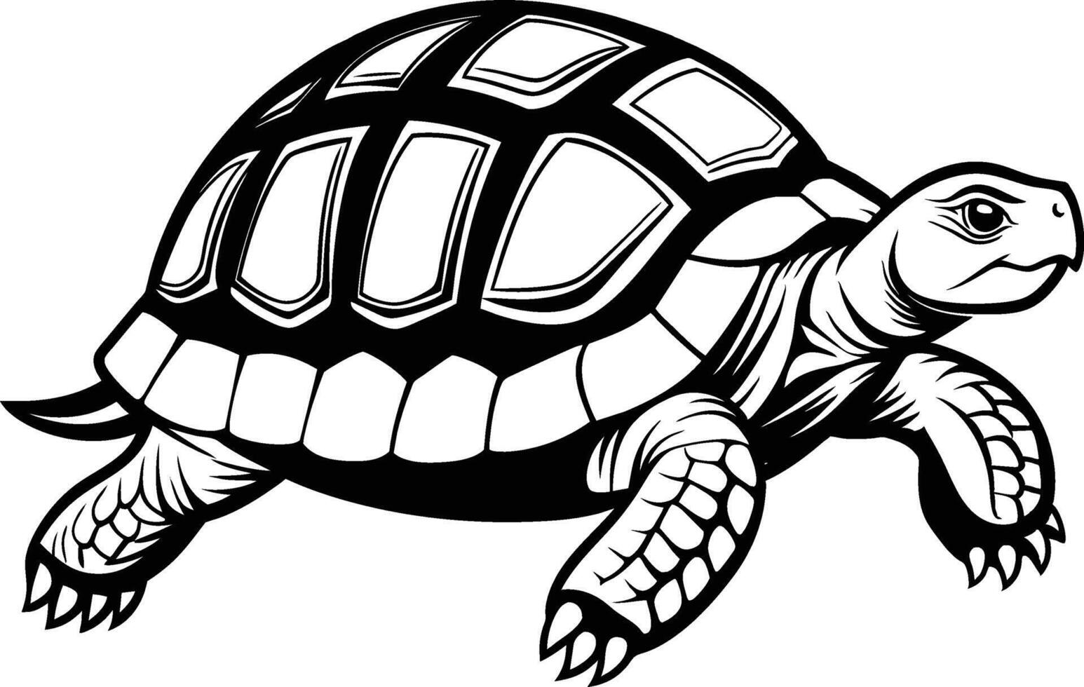 black silhouette of turtle illustration on white background vector