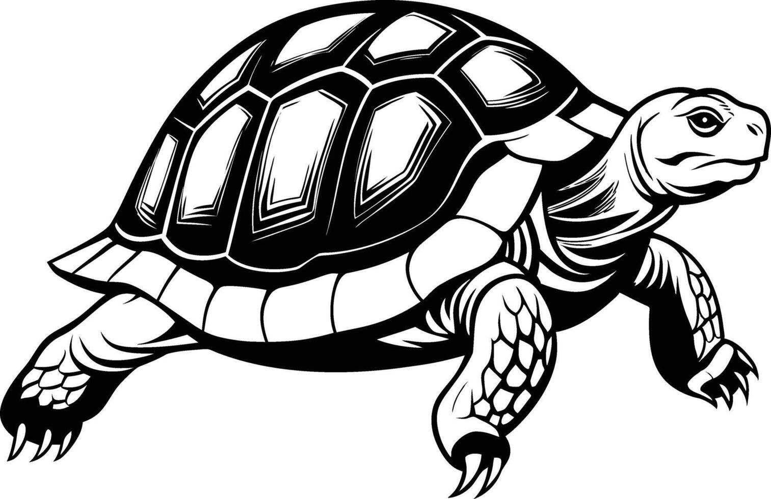 black silhouette of turtle illustration on white background vector