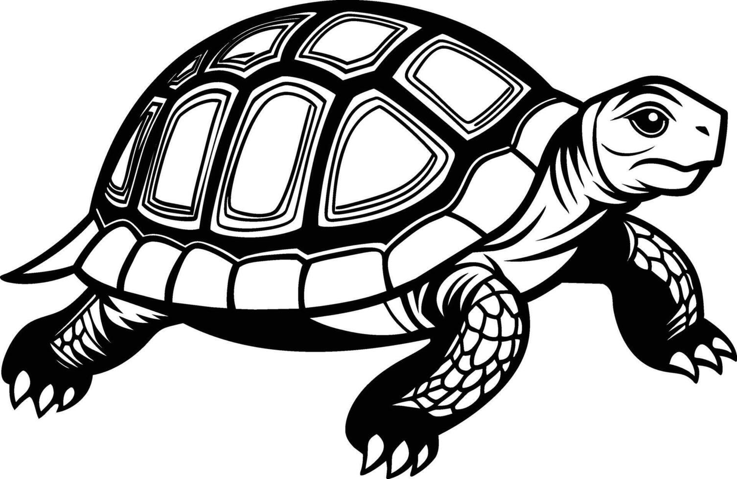 black silhouette of turtle illustration on white background vector