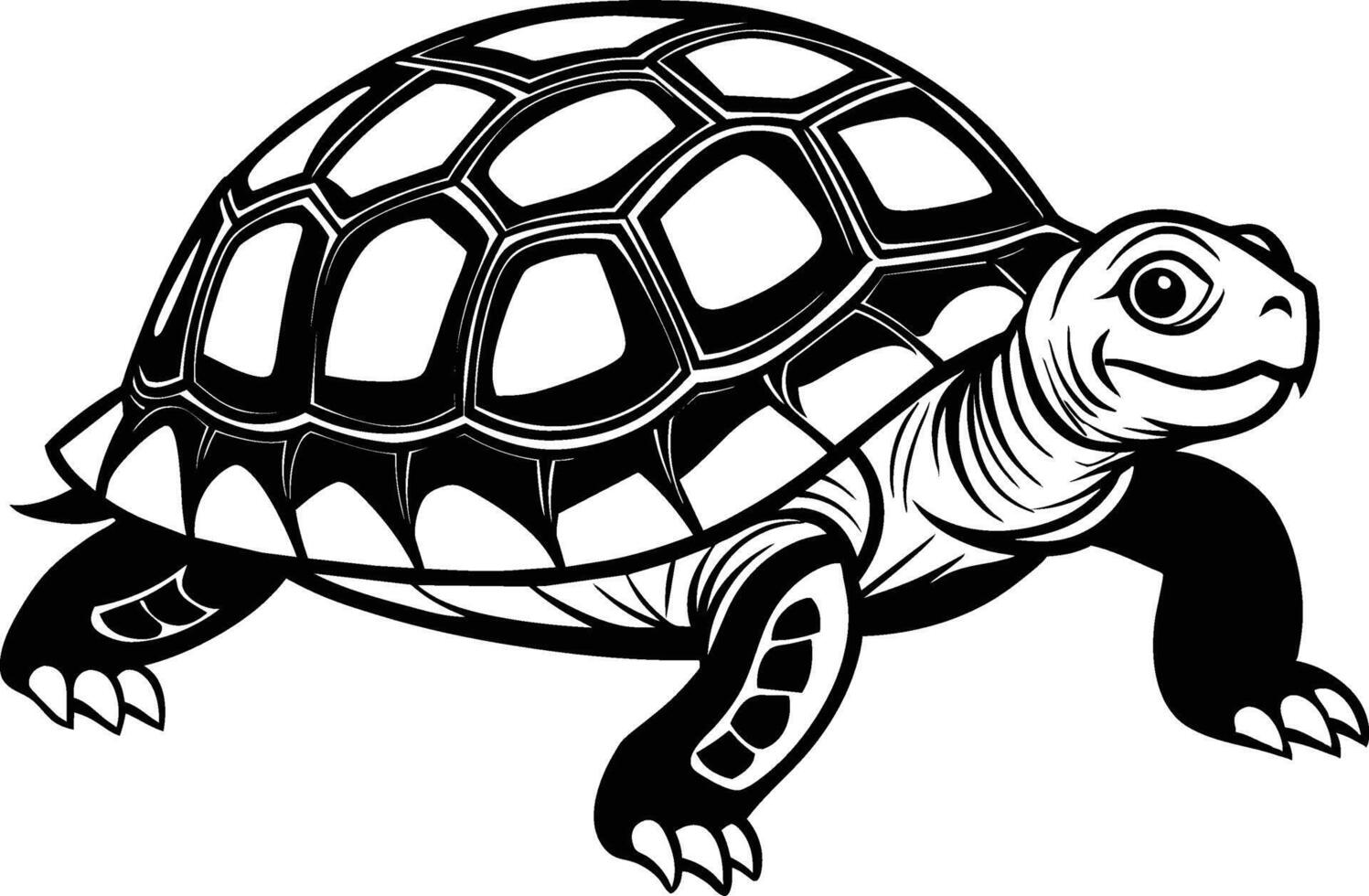 black silhouette of turtle illustration on white background vector