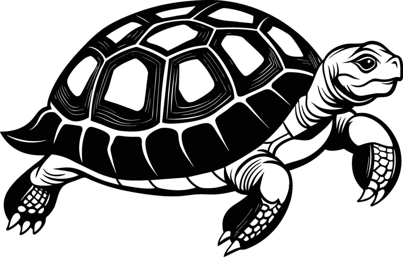 black silhouette of turtle illustration on white background vector