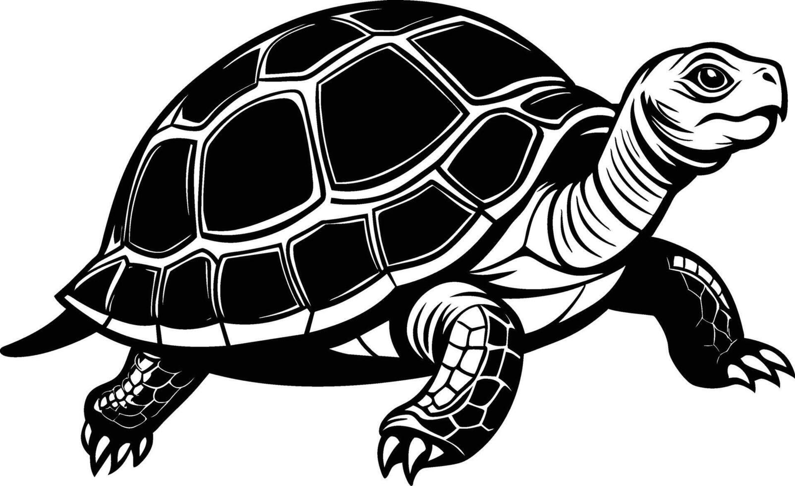 black silhouette of turtle illustration on white background vector