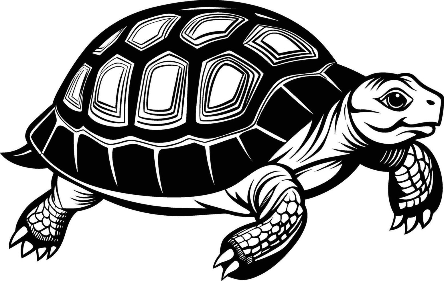 black silhouette of turtle illustration on white background vector