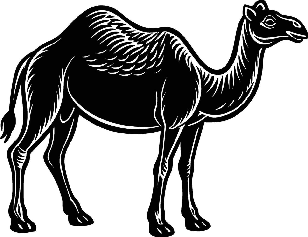 camel cartoon illustration isolated on white background eps 10 vector