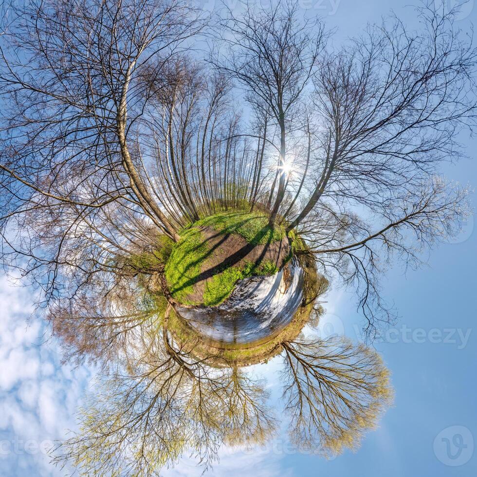 tiny planet transformation of spherical panorama 360 degrees. Spherical abstract aerial view with trees in forest with clumsy branches in blue sky. Curvature of space. photo