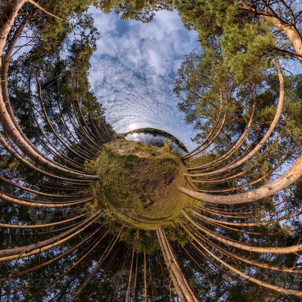 tiny planet transformation of spherical panorama 360 degrees. Spherical abstract aerial view with trees in forest with clumsy branches in blue sky. Curvature of space. photo